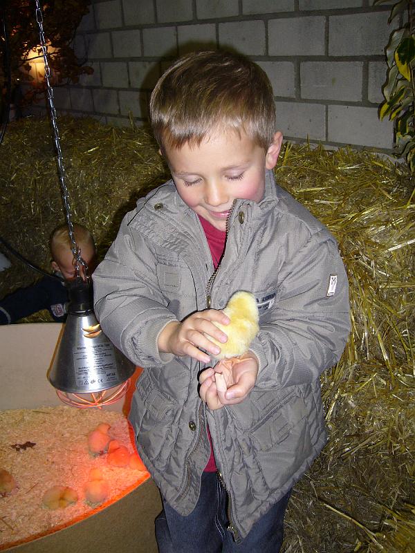 Mastholte 2008 211.jpg - Jugendbetreuung während der Rassegeflügelschau Mastholte 2008